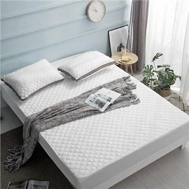 Qhov zoo tshaj plaws Quilted Mattress Protector