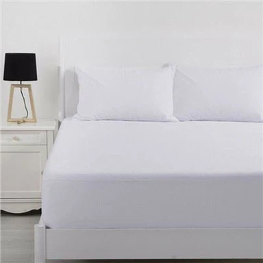 Coral Fleece Waterproof Mattress Protector