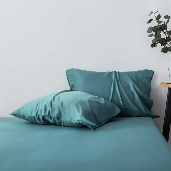 Xyoob Txias Pillow Case